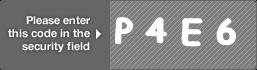 captcha code for visual authentication  letter P number 4 letter E number 6